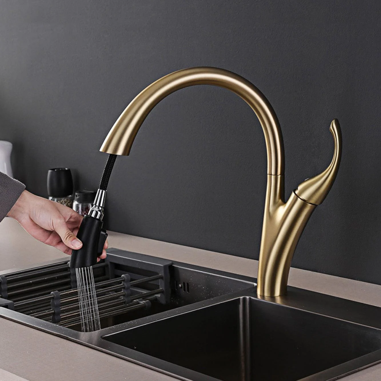 Kitchen Tap Swan Shape Design Dual Control Pull-out Sink Tap -Bathlova