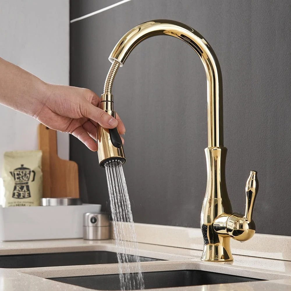 Kitchen Taps Black Single Handle Pull Out Kitchen Tap Mixer Tap -Bathlova