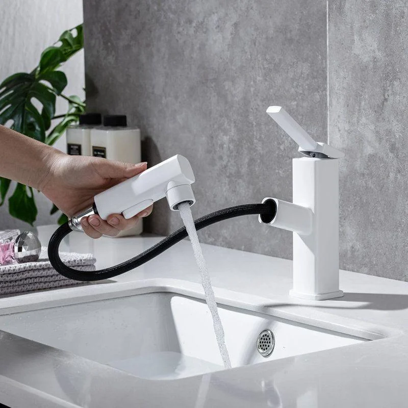 Lever Handle Tap Pull-out Vessel Sink Tap with Swivel Spout -Bathlova