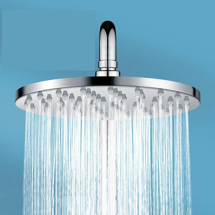 Metal Shower Head Combo Contemporary Round Fixed Shower Head for Bathroom -Bathlova