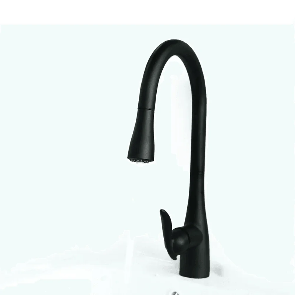 Modern 3-Function Pull-Out Kitchen Tap in Matte Black -Bathlova