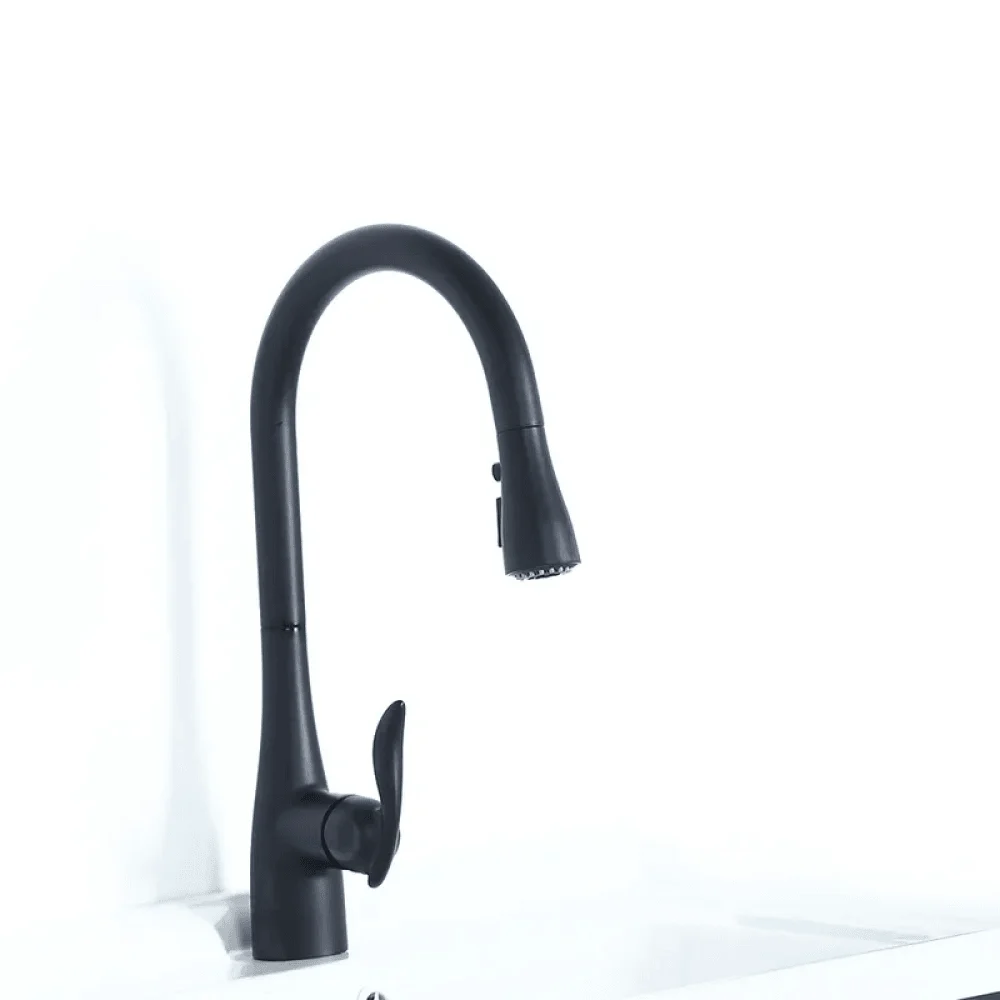 Modern 3-Function Pull-Out Kitchen Tap in Matte Black -Bathlova