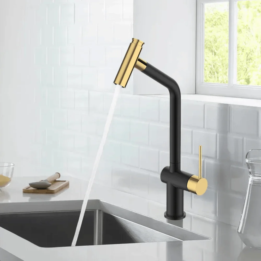 Modern Single-Hole Pull-Out Spray Kitchen Tap in Black & Gold -Bathlova