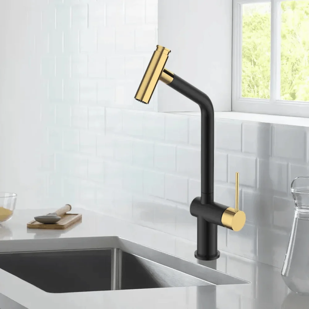 Modern Single-Hole Pull-Out Spray Kitchen Tap in Black & Gold -Bathlova