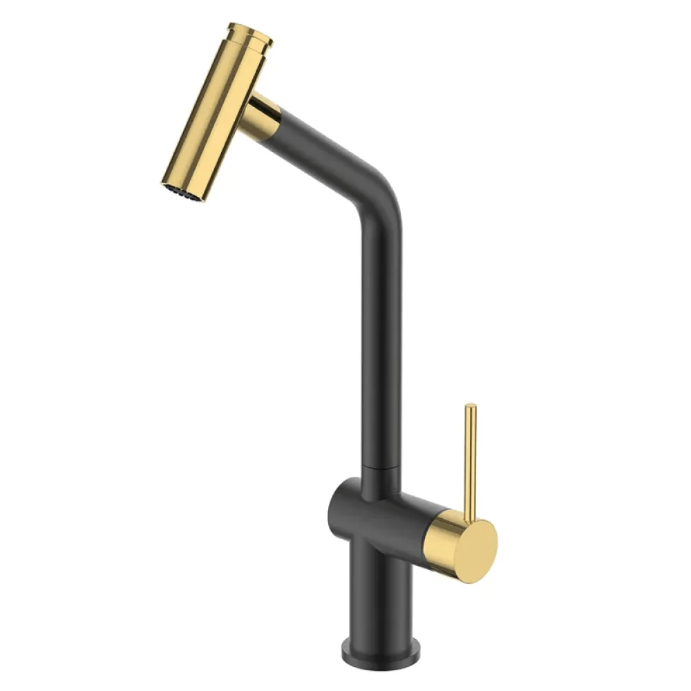 Modern Single-Hole Pull-Out Spray Kitchen Tap in Black & Gold -Bathlova