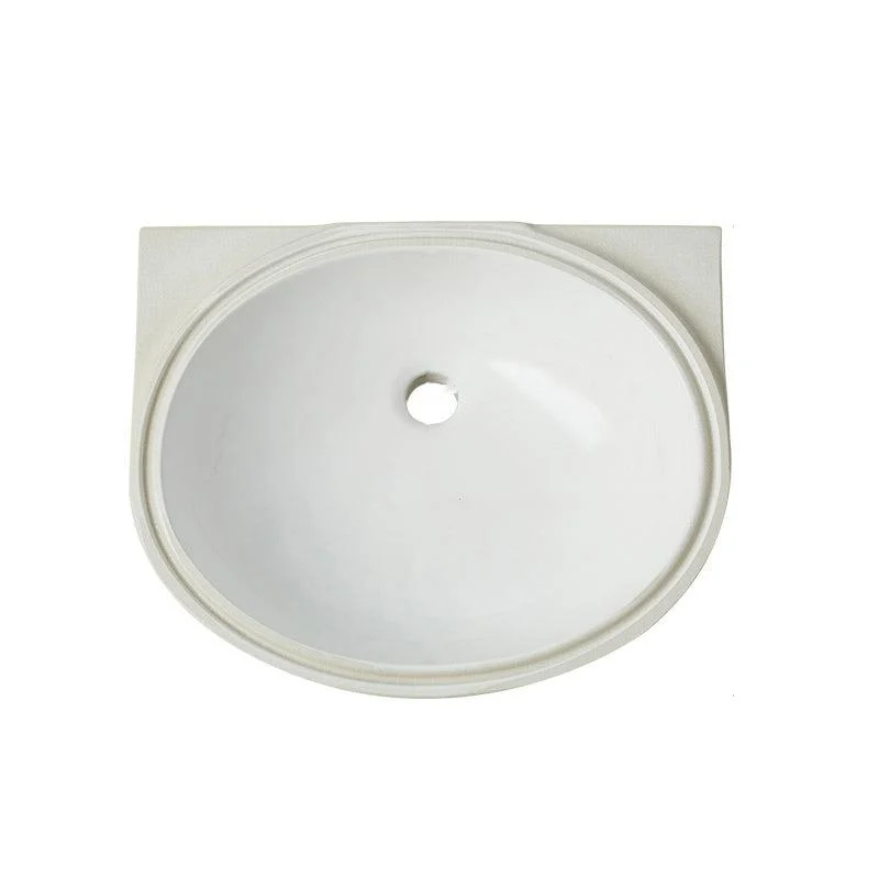 Modern Style Bathroom Sink Oval-shape Ceramic Bathroom Sink in White -Bathlova