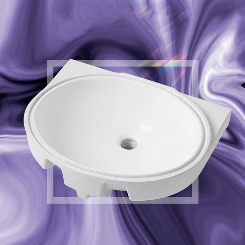 Modern Style Bathroom Sink Oval-shape Ceramic Bathroom Sink in White -Bathlova