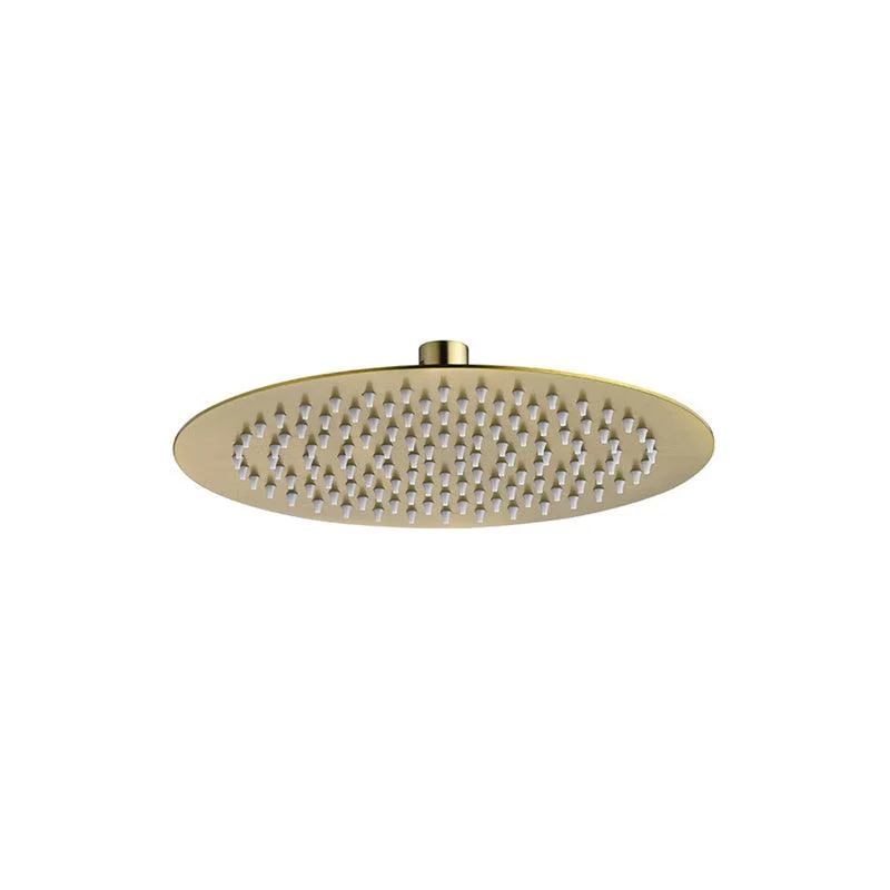 Polished Brass Round Fixed Shower Head Stainless Steel Wall-Mount Showerhead -Bathlova