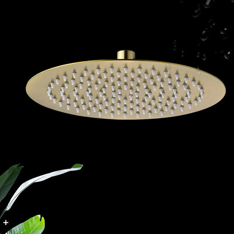 Polished Brass Round Fixed Shower Head Stainless Steel Wall-Mount Showerhead -Bathlova