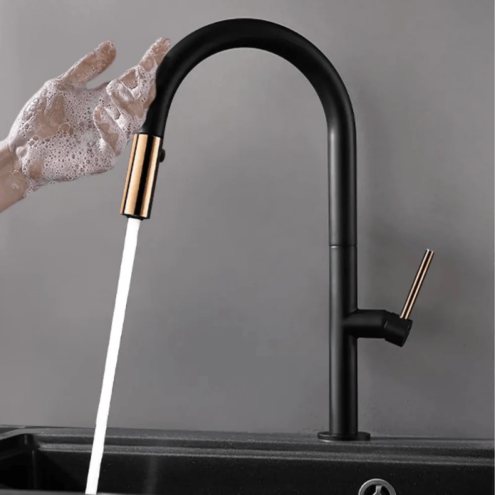 Pull Down Sprayer Kitchen Tap with Double Function in Black & Gold -Bathlova