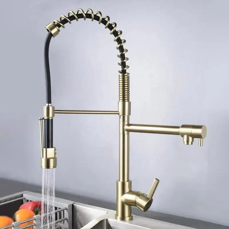 Pull Out Double Spout Kitchen Tap - Brushed Gold Double Function Sprayer Solid Brass -Bathlova