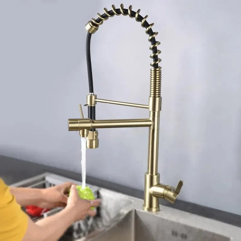 Pull Out Double Spout Kitchen Tap - Brushed Gold Double Function Sprayer Solid Brass -Bathlova