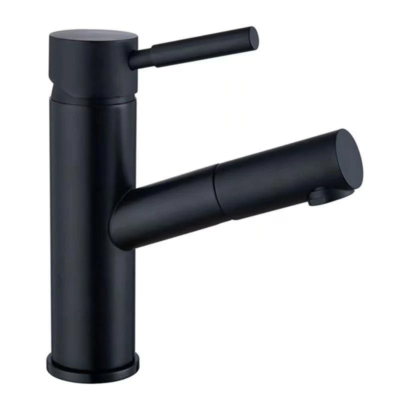 Pull-out Tap Contemporary Single Handle Tap with Swivel Spout -Bathlova