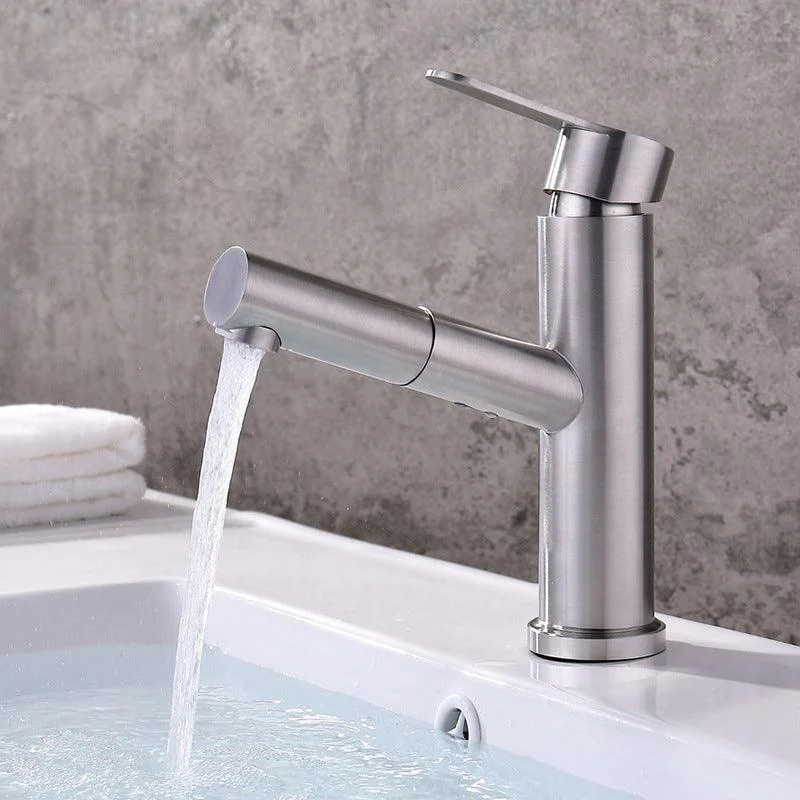 Pull-out Tap Contemporary Single Handle Tap with Swivel Spout -Bathlova