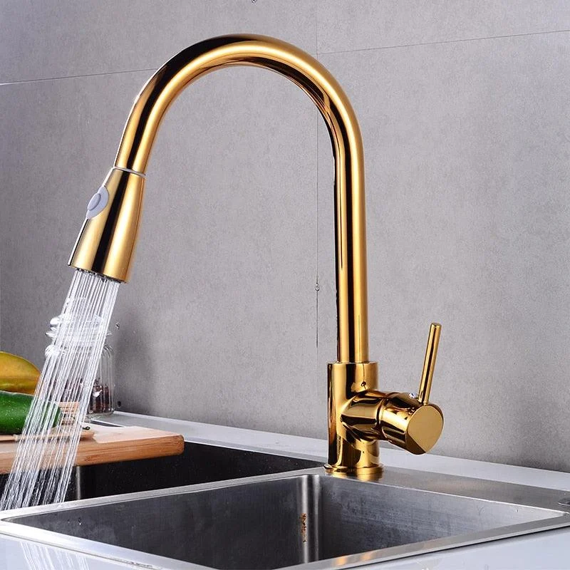 Rotatable Thickened Brass Kitchen Tap Pull Out Spray Kitchen Tap -Bathlova