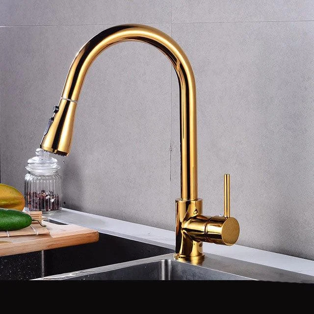 Rotatable Thickened Brass Kitchen Tap Pull Out Spray Kitchen Tap -Bathlova