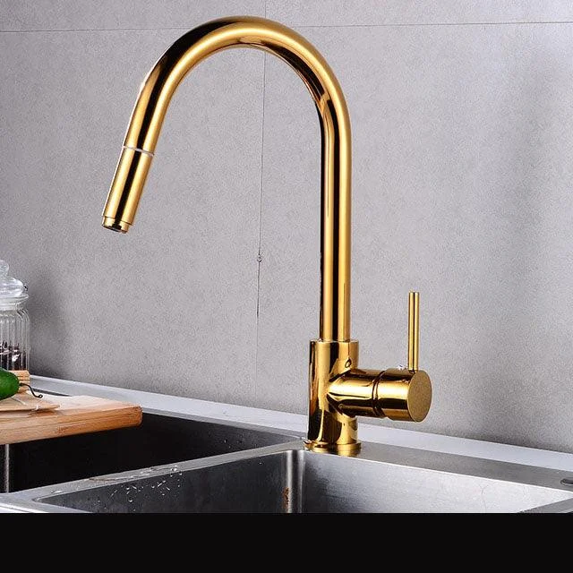 Rotatable Thickened Brass Kitchen Tap Pull Out Spray Kitchen Tap -Bathlova