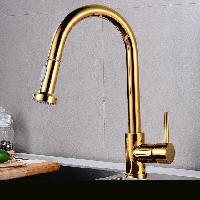 Rotatable Thickened Brass Kitchen Tap Pull Out Spray Kitchen Tap -Bathlova