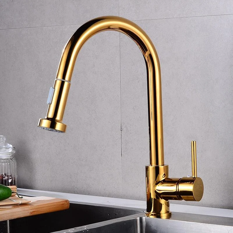 Rotatable Thickened Brass Kitchen Tap Pull Out Spray Kitchen Tap -Bathlova