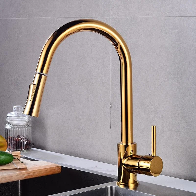 Rotatable Thickened Brass Kitchen Tap Pull Out Spray Kitchen Tap -Bathlova