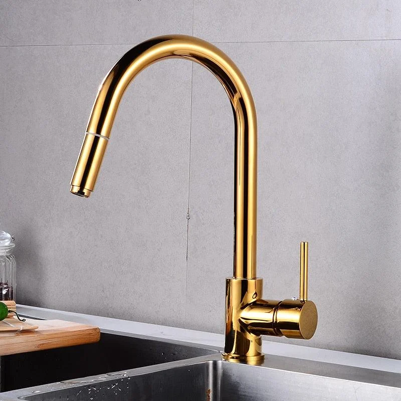 Rotatable Thickened Brass Kitchen Tap Pull Out Spray Kitchen Tap -Bathlova