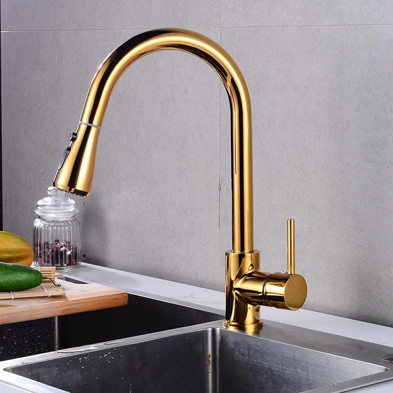 Rotatable Thickened Brass Kitchen Tap Pull Out Spray Kitchen Tap -Bathlova