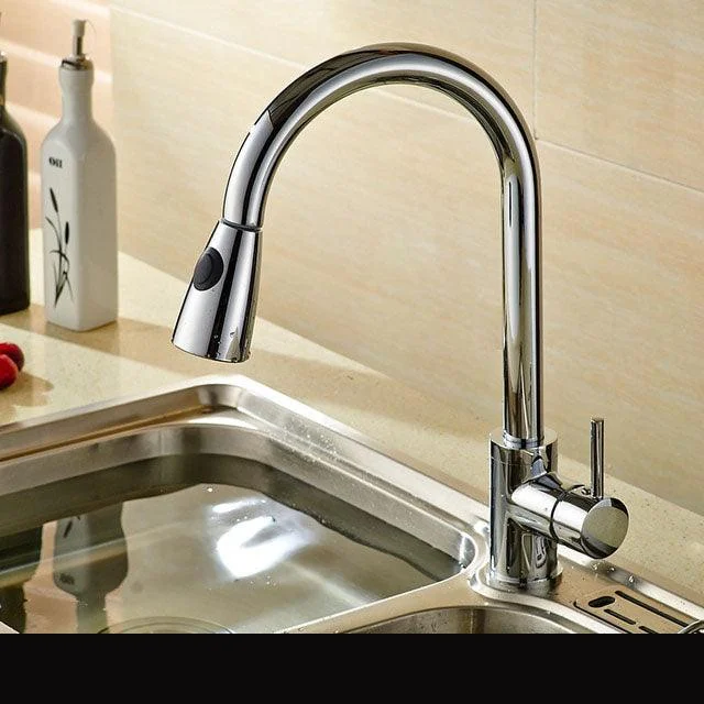 Rotatable Thickened Brass Kitchen Tap Pull Out Spray Kitchen Tap -Bathlova