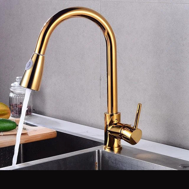 Rotatable Thickened Brass Kitchen Tap Pull Out Spray Kitchen Tap -Bathlova