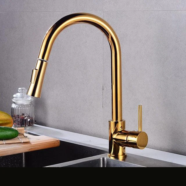 Rotatable Thickened Brass Kitchen Tap Pull Out Spray Kitchen Tap -Bathlova