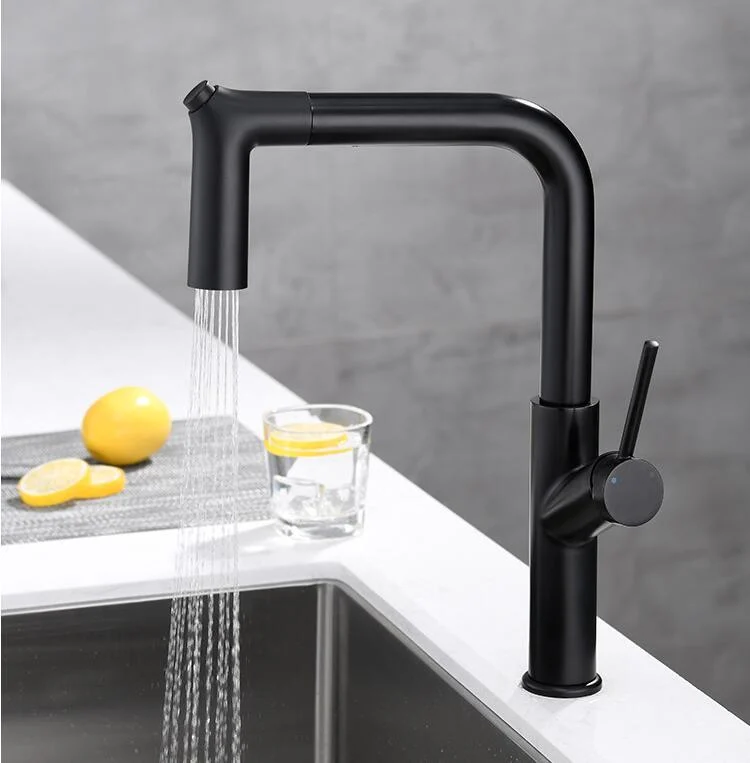 Single Lever Kitchen Sink Tap with Swivel Spout -Bathlova