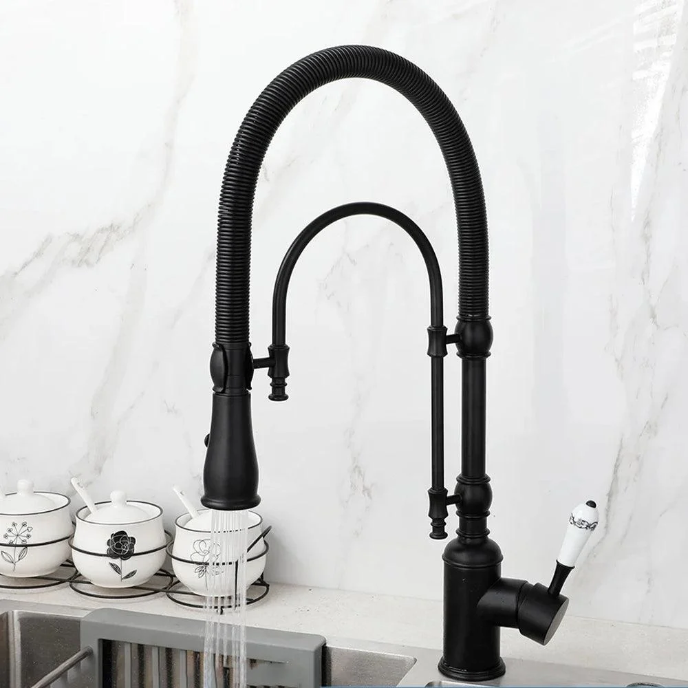 Spring Pull Down Kitchen Sink Tap Crane Tap with Dual Spout Tap -Bathlova