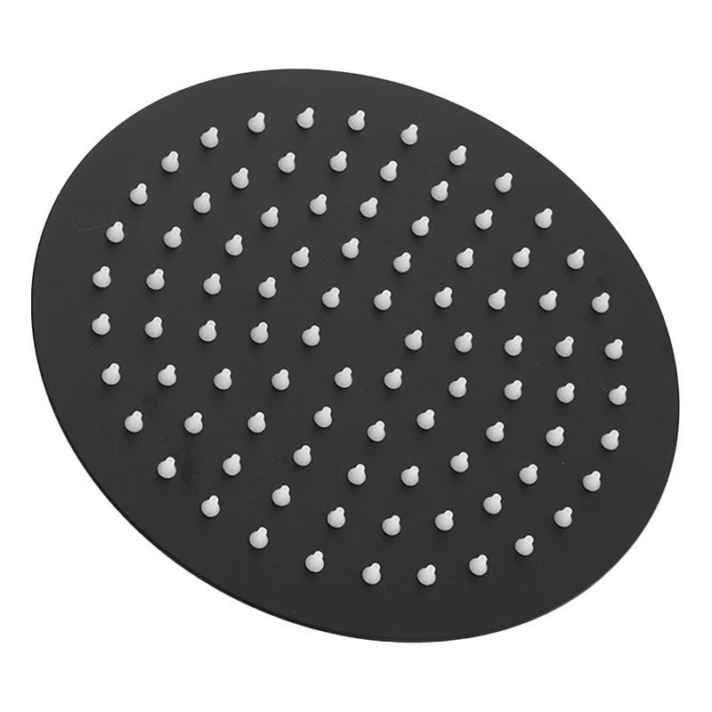 Square and Round Stainless Steel Fixed Shower Head Ceiling Mounted Shower Head in Black -Bathlova