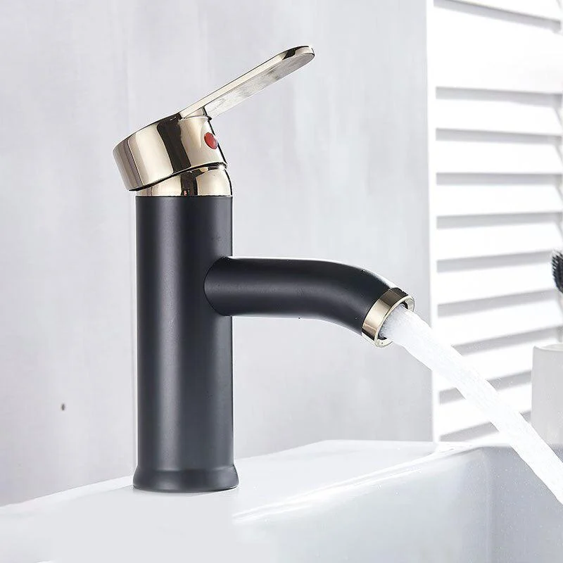 Stainless Steel Paint Basin Taps Black Bathroom Tap Mixer Tap -Bathlova