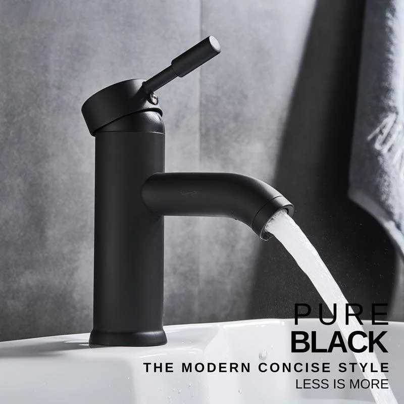 Stainless Steel Paint Basin Taps Black Bathroom Tap Mixer Tap -Bathlova