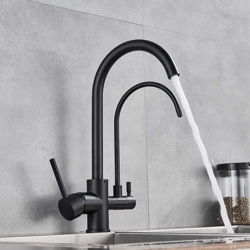 Stainless Steel Two Spouts Rotatable Kitchen Tap With Purifier In 3 Colors -Bathlova