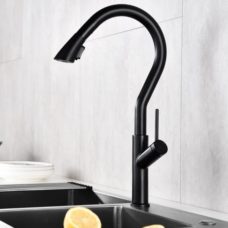 Swivel Pull-out Sprayer Kitchen Tap with Single Handle -Bathlova