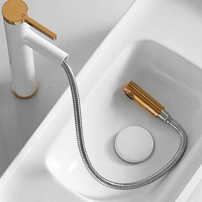 Swivel Spout Bathroom Sink Tap with Single Handle Brass Tap -Bathlova