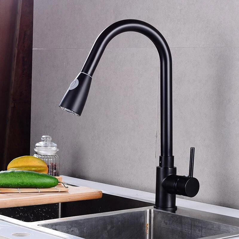 Swivel Spout Kitchen Sink Tap Pull Down Sprayer Water Tap -Bathlova