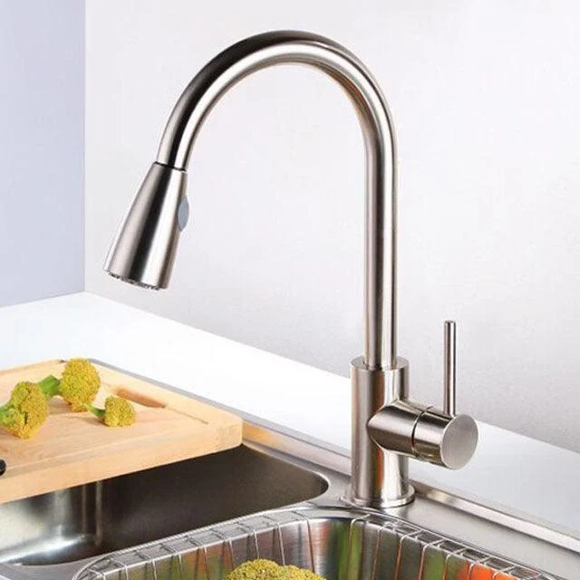 Swivel Spout Kitchen Sink Tap Pull Down Sprayer Water Tap -Bathlova