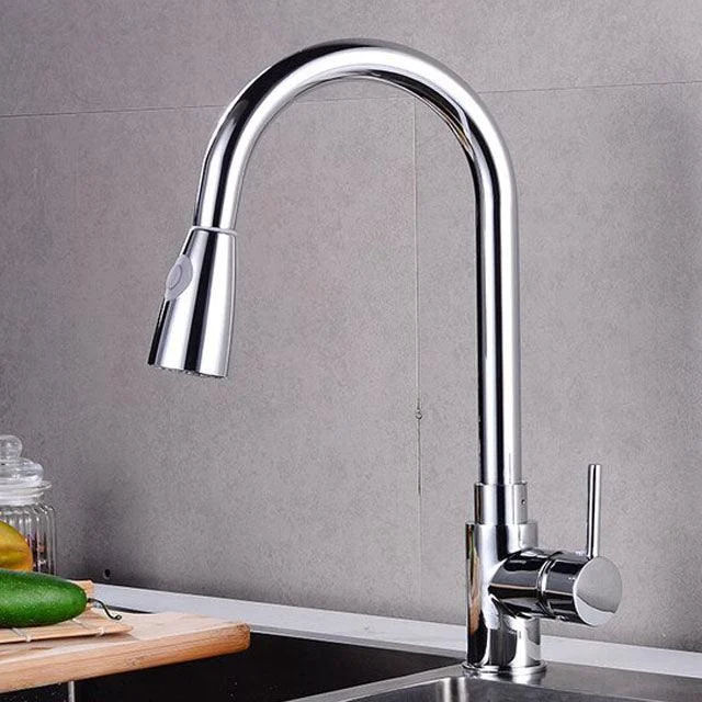 Swivel Spout Kitchen Sink Tap Pull Down Sprayer Water Tap -Bathlova