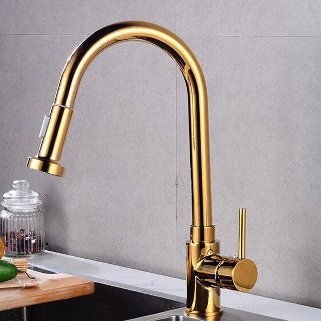 Swivel Spout Kitchen Sink Tap Pull Down Sprayer Water Tap -Bathlova