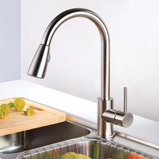 Swivel Spout Kitchen Sink Tap Pull Down Sprayer Water Tap -Bathlova