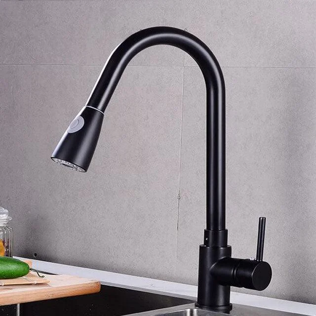 Swivel Spout Kitchen Sink Tap Pull Down Sprayer Water Tap -Bathlova