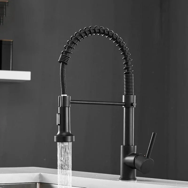 Teagan - Single-Hole Detachable Kitchen Tap with Pull-Down Spring Water Spout -Bathlova