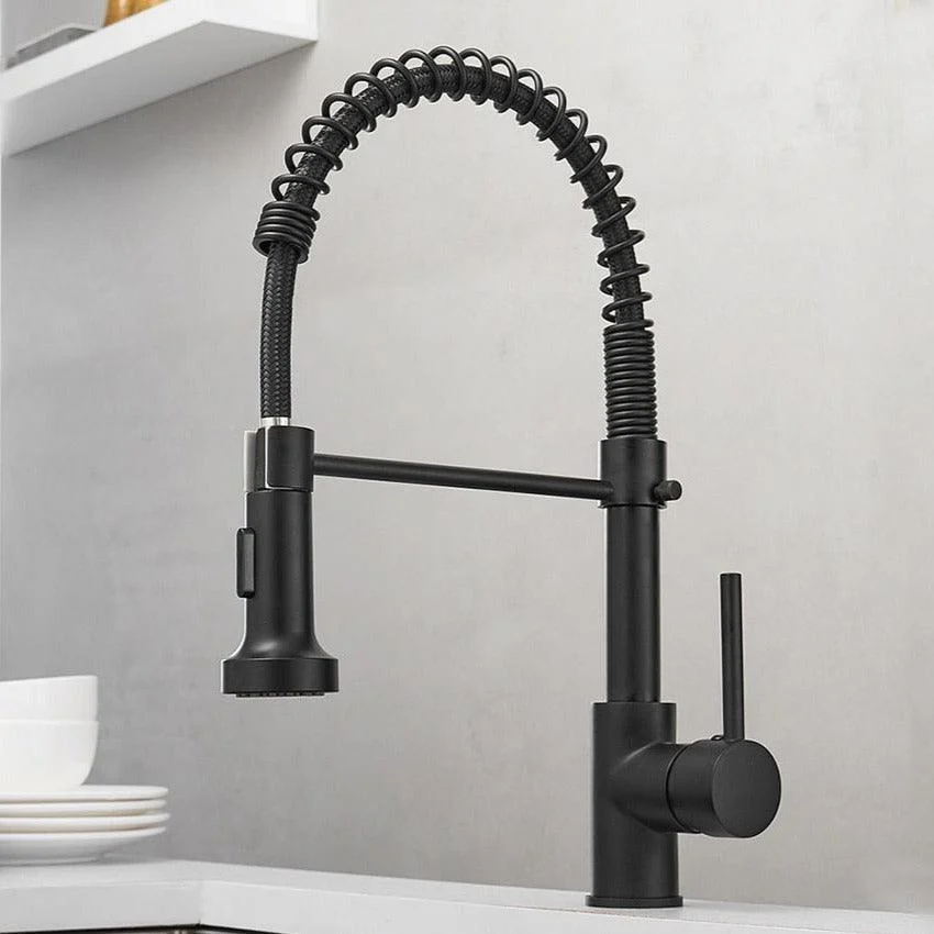 Teagan - Single-Hole Detachable Kitchen Tap with Pull-Down Spring Water Spout -Bathlova