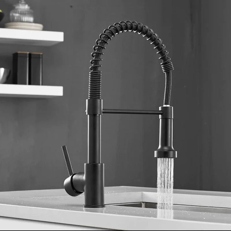 Teagan - Single-Hole Detachable Kitchen Tap with Pull-Down Spring Water Spout -Bathlova