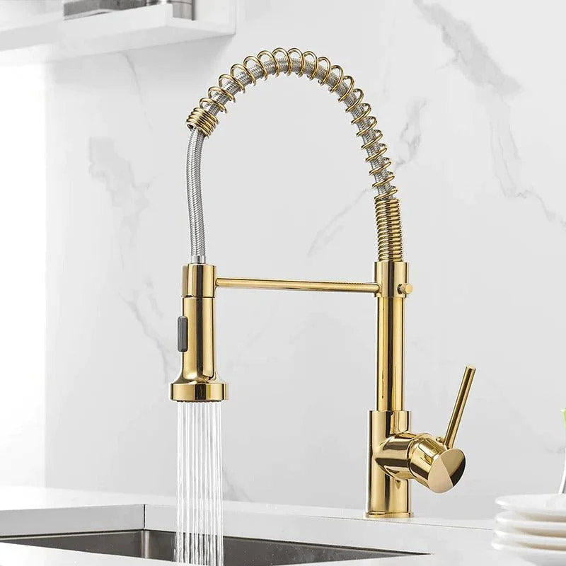 Teagan - Single-Hole Detachable Kitchen Tap with Pull-Down Spring Water Spout -Bathlova