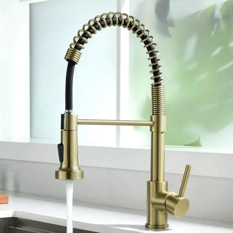 Teagan - Single-Hole Detachable Kitchen Tap with Pull-Down Spring Water Spout -Bathlova