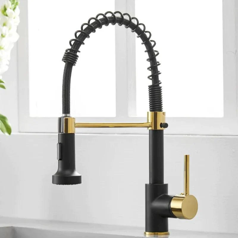 Teagan - Single-Hole Detachable Kitchen Tap with Pull-Down Spring Water Spout -Bathlova