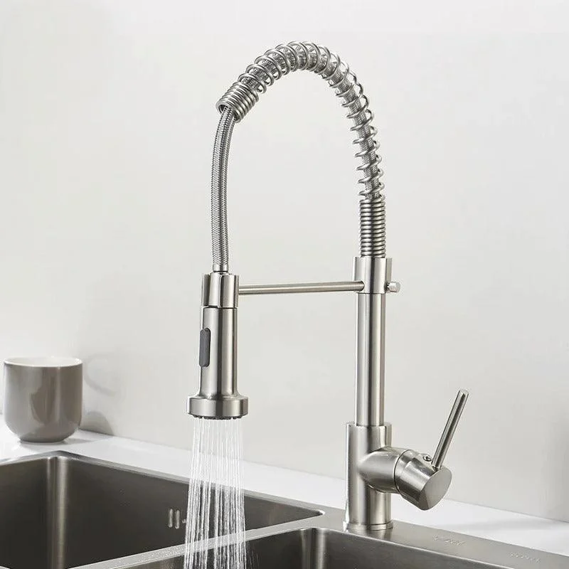 Teagan - Single-Hole Detachable Kitchen Tap with Pull-Down Spring Water Spout -Bathlova